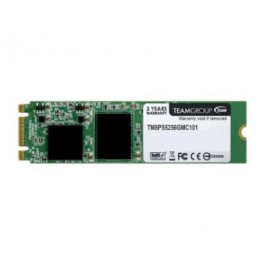 SSD-накопитель Team Group TM8PS5256GMC101 256Gb